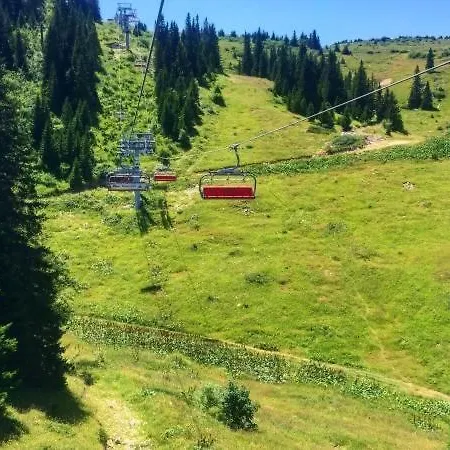 Dvosjed Apartman *